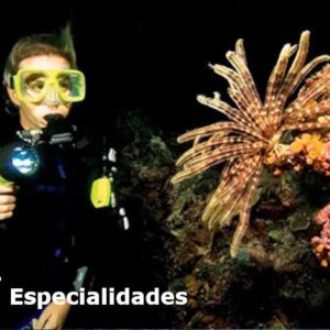 Identificación de Especies